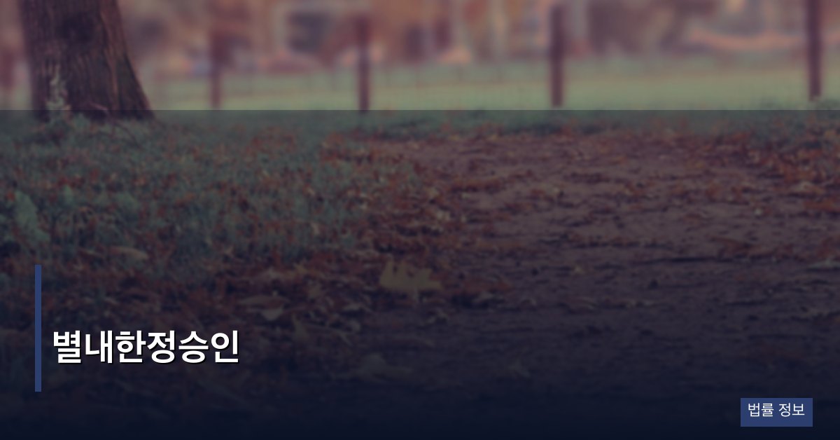 별내한정승인