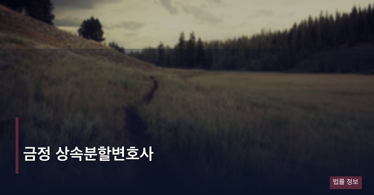 금정 상속분할변호사
