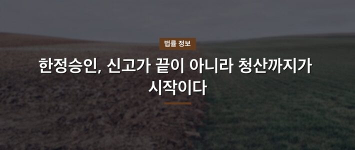 한정승인, 신고가 끝이 아니라 청산까지가 시작이다