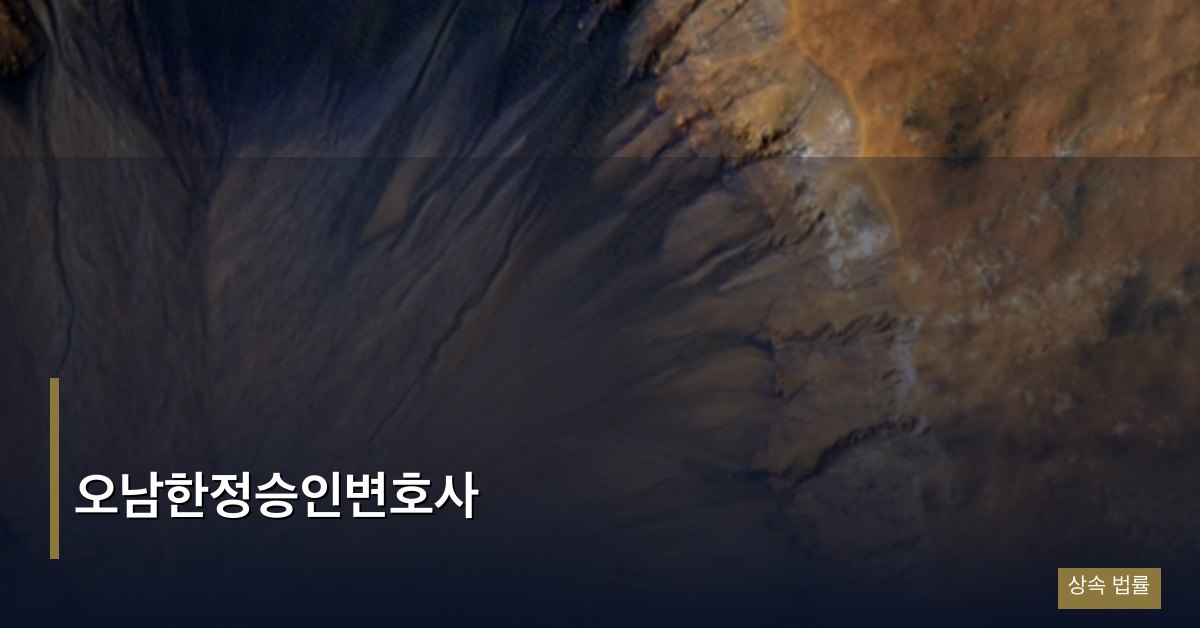 오남한정승인변호사