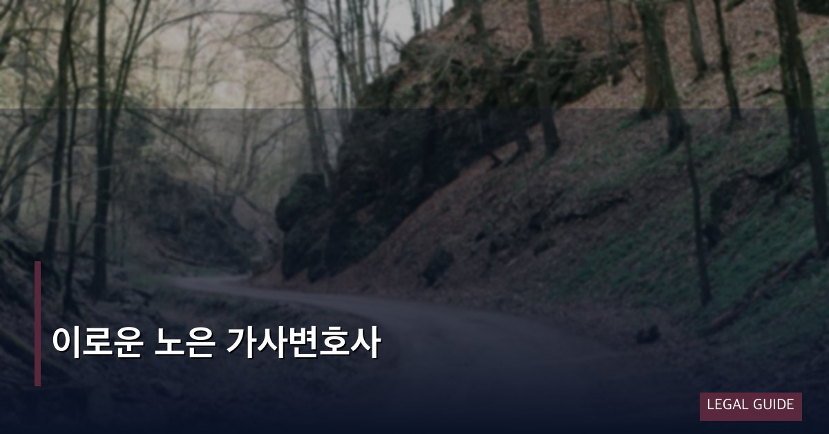 이로운 노은 가사변호사