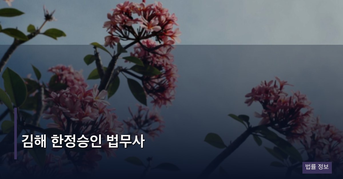 김해 한정승인 법무사