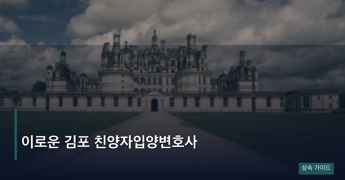 이로운 김포 친양자입양변호사