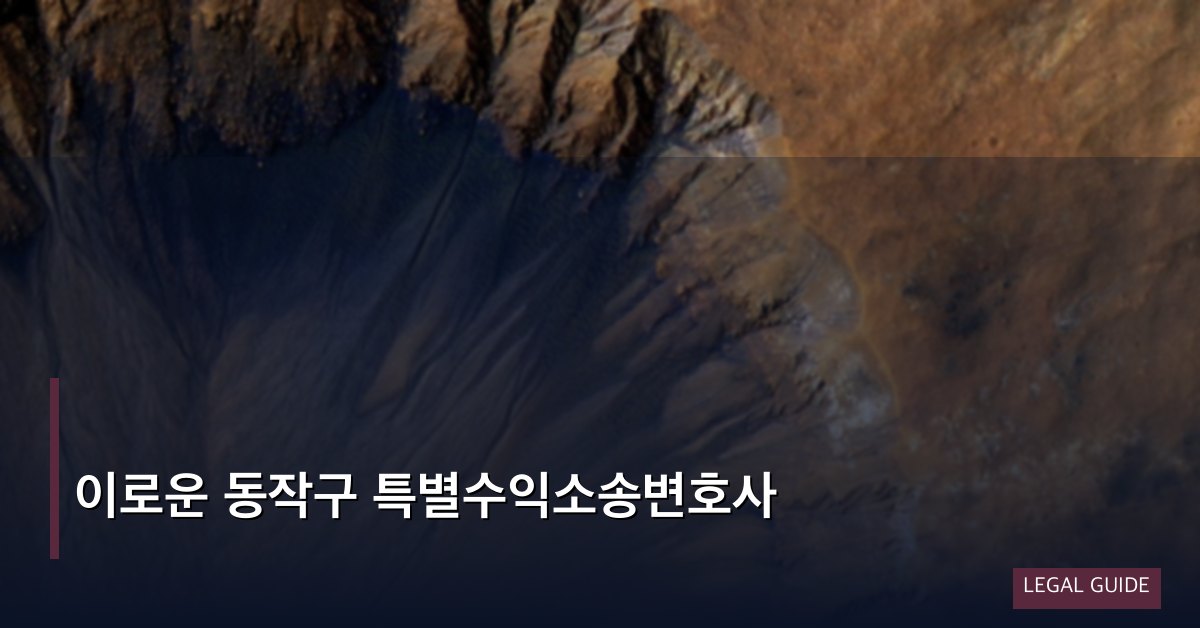 이로운 동작구 특별수익소송변호사