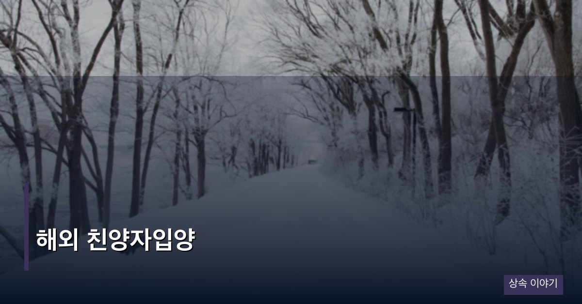 해외 친양자입양