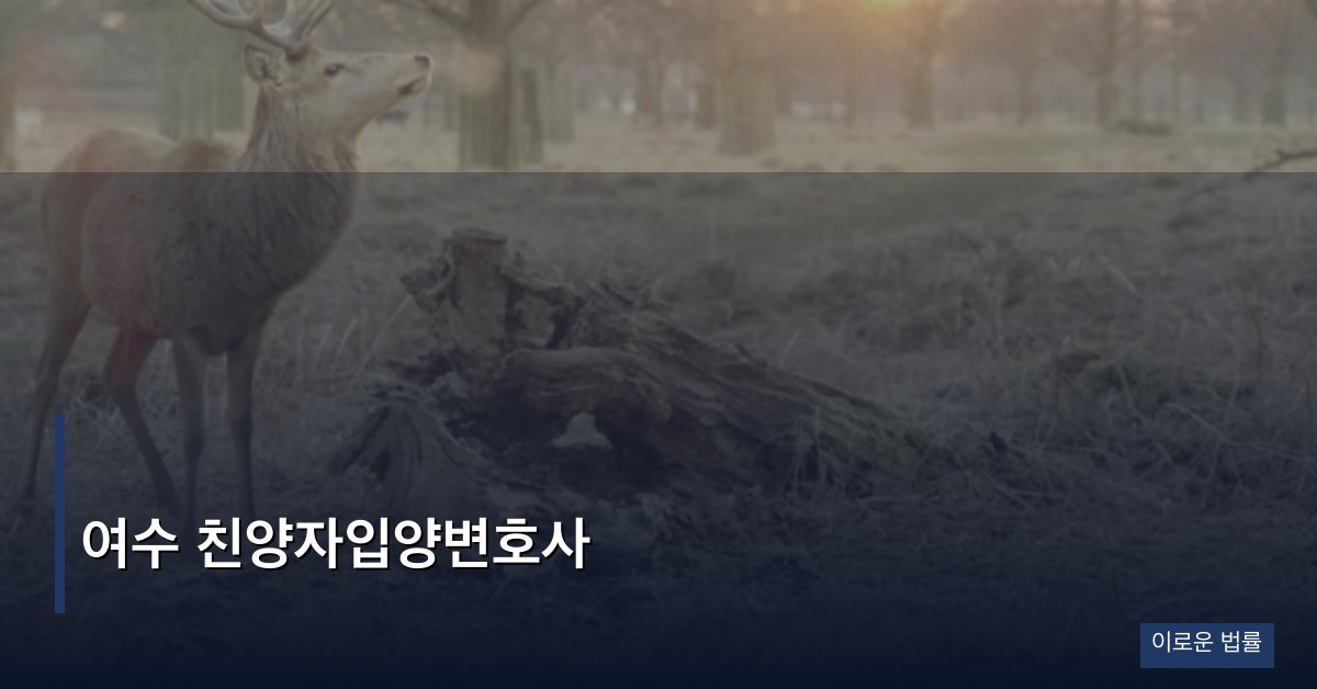 여수 친양자입양변호사