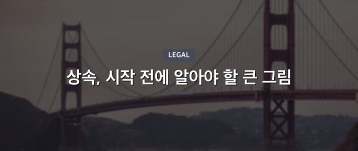 엄마유산상속 쟁점 정리와 대응 방향 엄마유산상속 쟁점 정리와 대응 방향