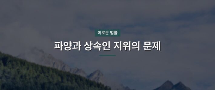 진건 입양변호사 선임 전 확인할 기준