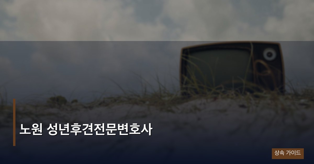 노원 성년후견전문변호사
