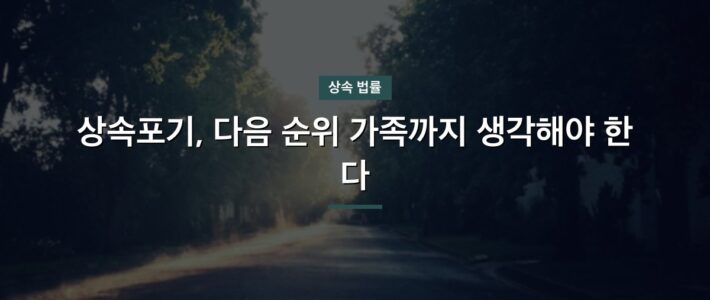 수내상속포기신청 진행 순서 정리 수내상속포기신청 진행 순서 정리