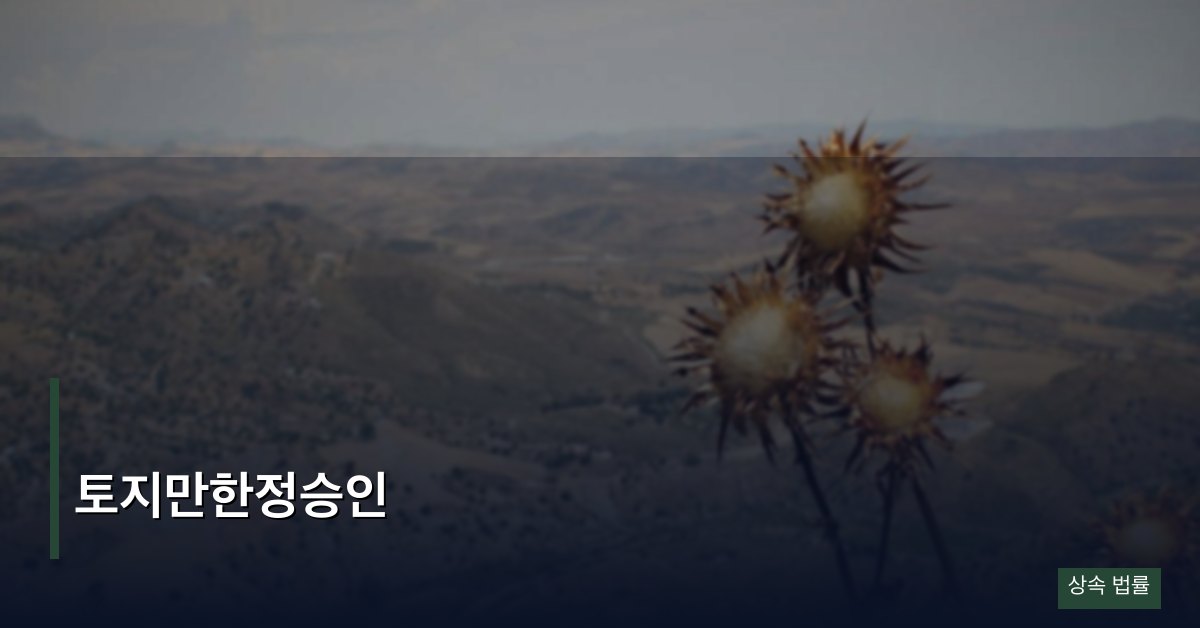 토지만한정승인